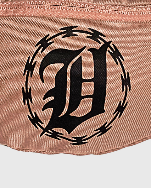 Fanny Pack · V Prison